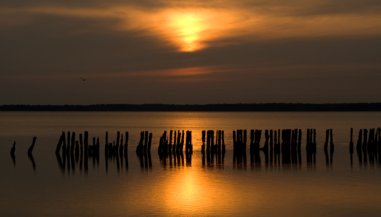 ...abends in der Boddenlandschaft... #4