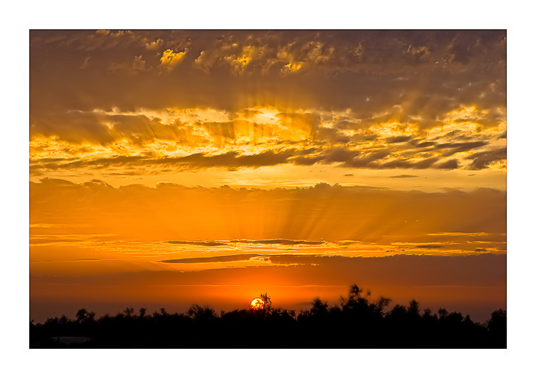 Abends in der Camargue - Stes-Maries-de-la-Mer