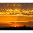 Abends in der Camargue - Stes-Maries-de-la-Mer