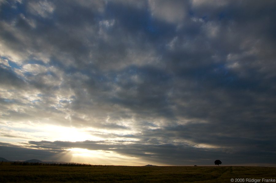 Abends in der Eifel - 1