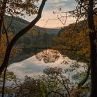 Abends in der Eifel II