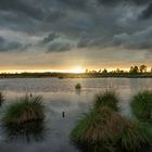 Abends in der Eifel III