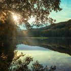 Abends in der Eifel V