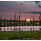 Abends in der Große Rosin