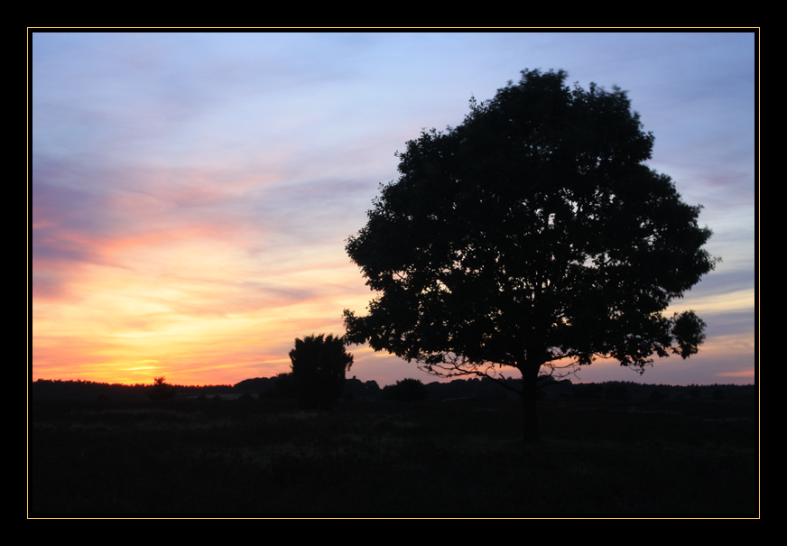 Abends in der Heide 2