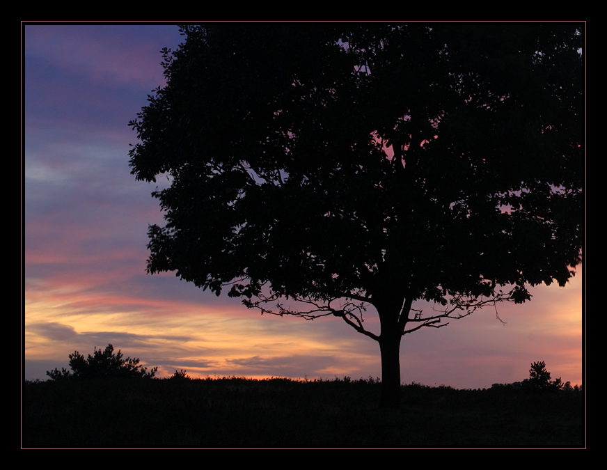 Abends in der Heide 3