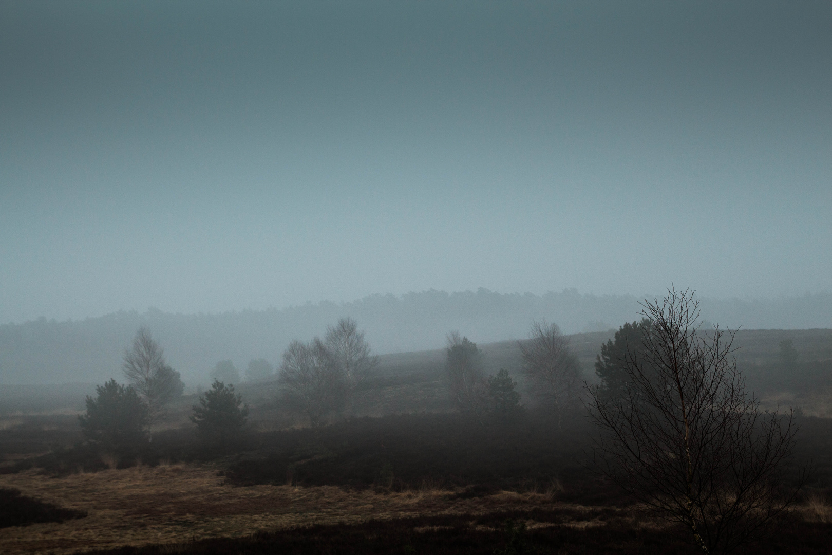 Abends in der Heide