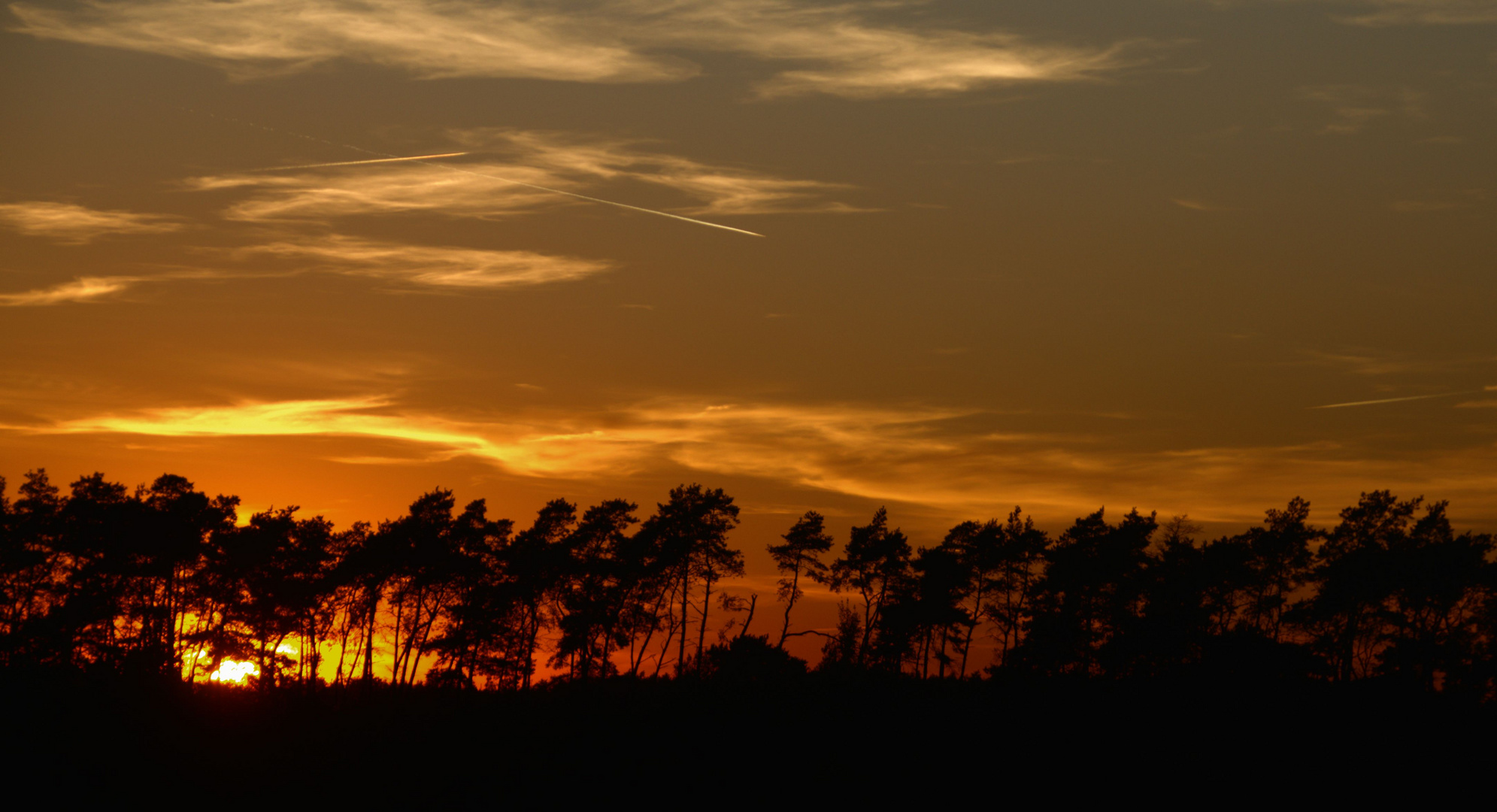 Abends in der Heide