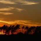 Abends in der Heide