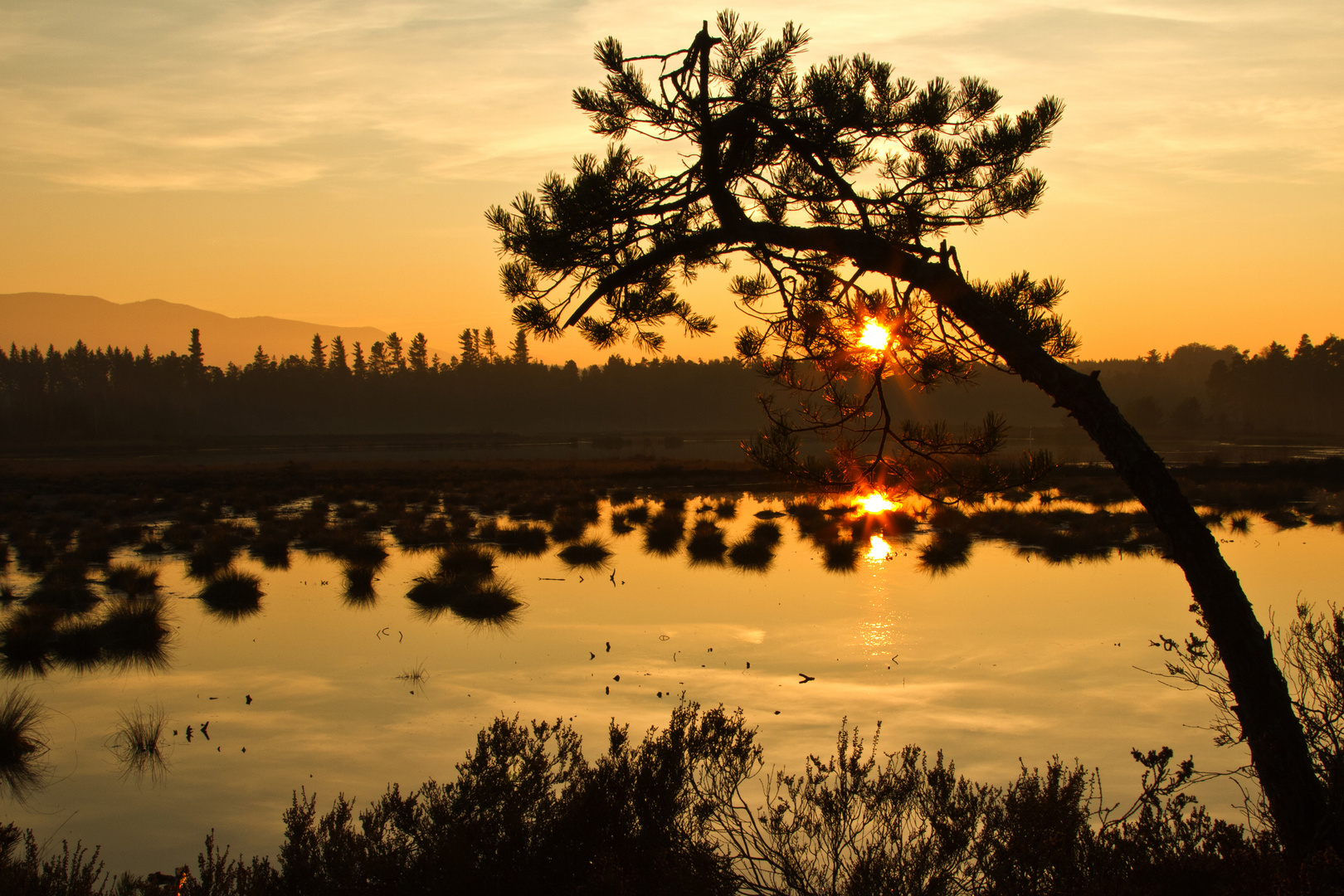 Abends in der Heide