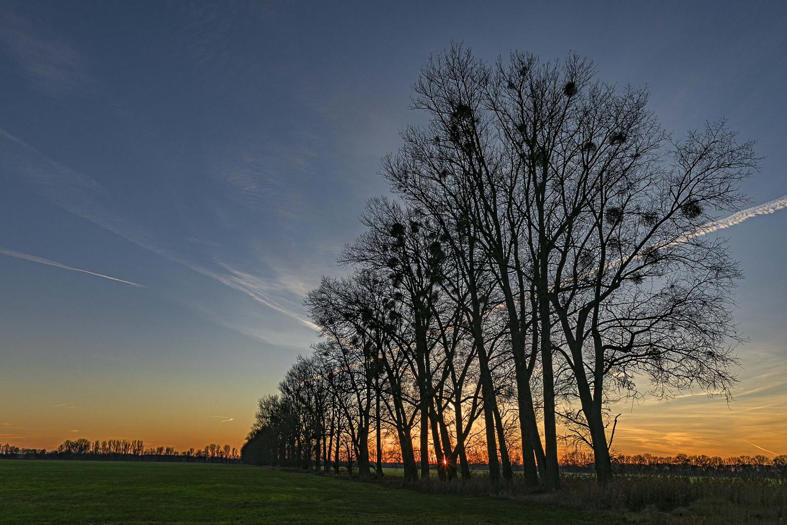 Abends in der Lewitz