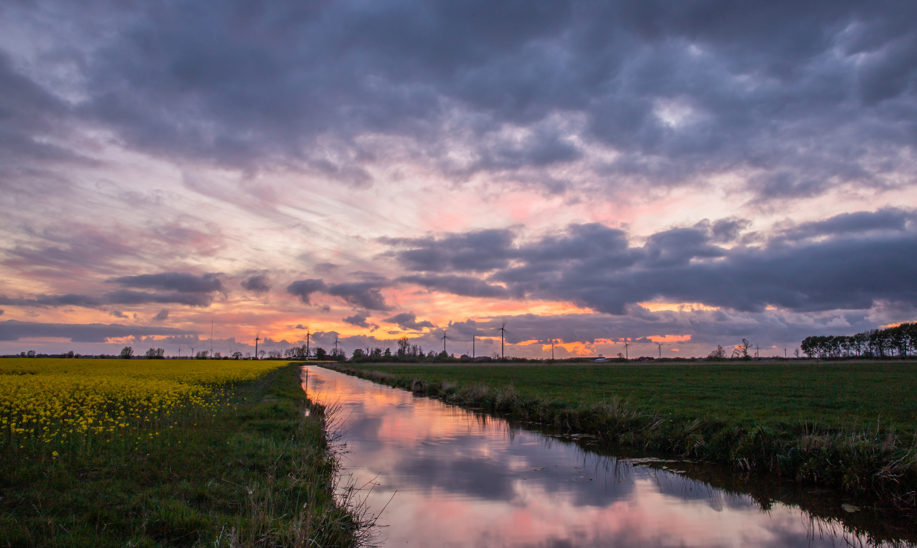 Abends in der Marsch