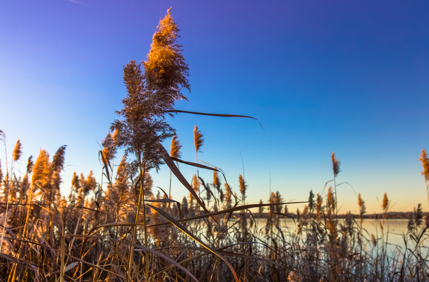 abends in der Natur