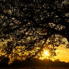 Abends in der Rhön