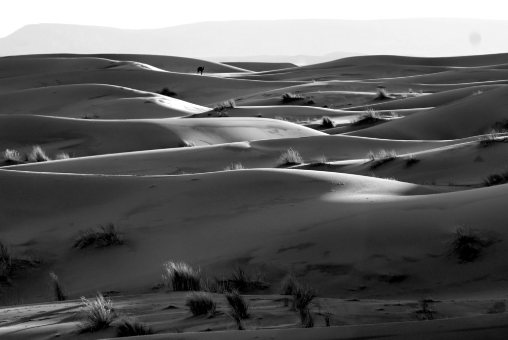 Abends in der Sahara bei Merzouga