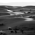 Abends in der Sahara bei Merzouga
