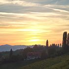 Abends in der Südsteiermark