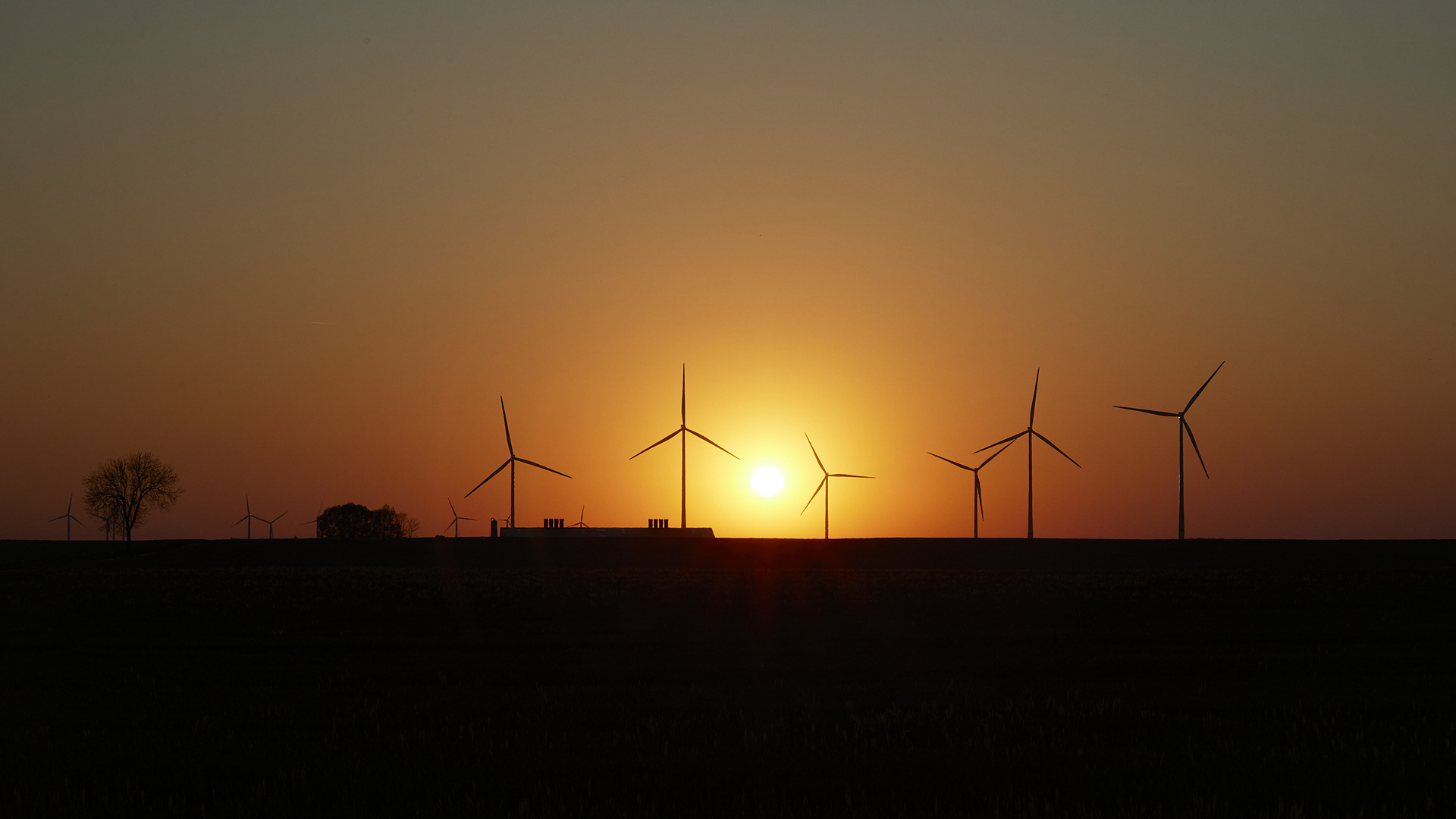 Abends in der Uckermark (U)