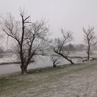 abends in der winterlichen Oderauenlandschaft