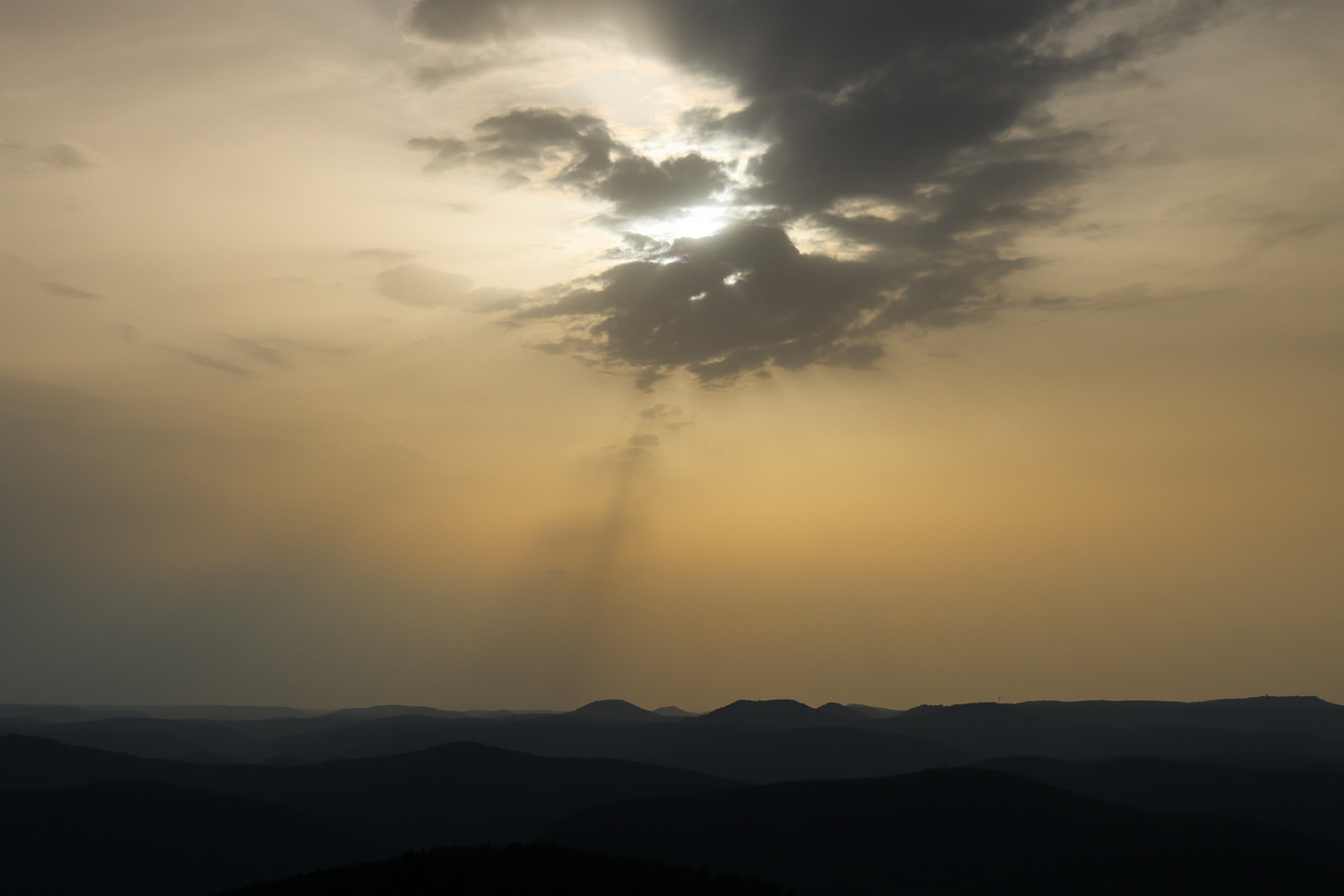 Abends in die Pfalz