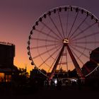 Abends in Dresden