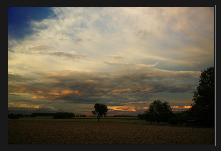 Abends in Frankfurt