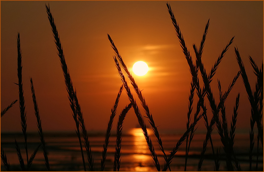 "Abends, in Friedrichskoog-Spitze"