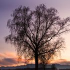 Abends in Großkarolinenfeld