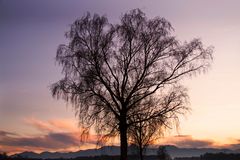 Abends in Großkarolinenfeld