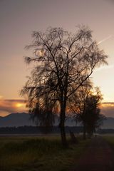 Abends in Großkarolinenfeld2