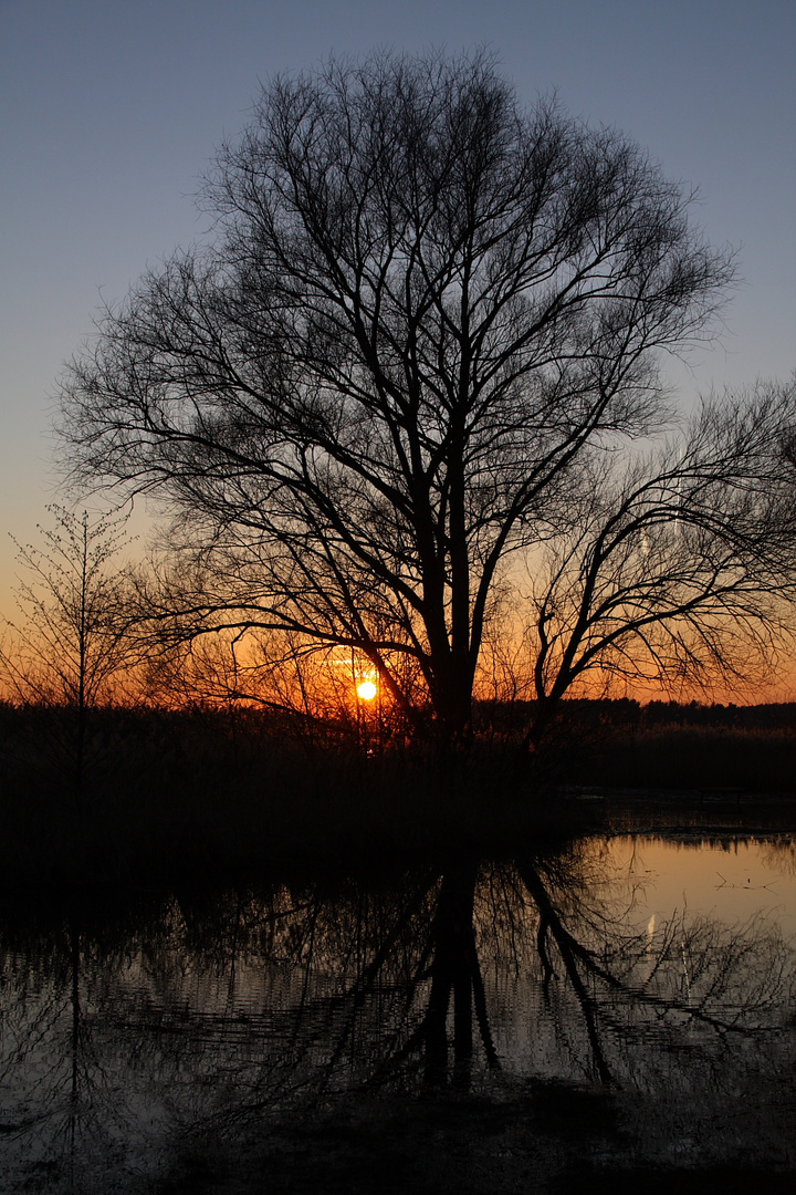 Abends in Kirchmöser - Brandenburg ...