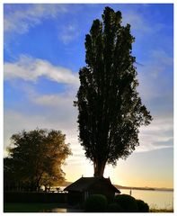 Abends in Mannenbach