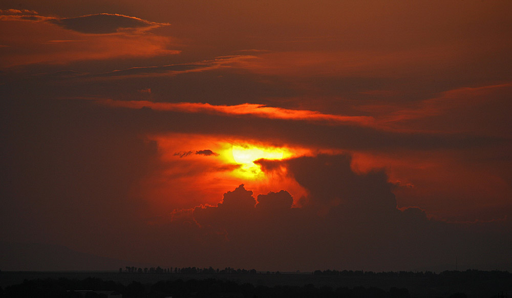 Abends in Rheinhessen