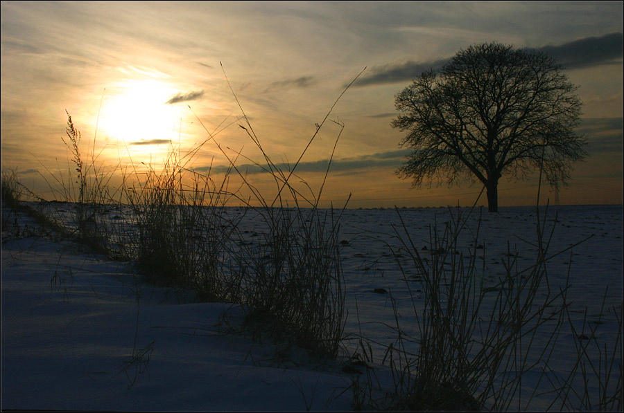 abends in Rheinhessen