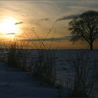 abends in Rheinhessen