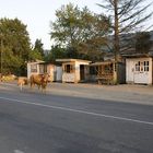 Abends in Shukhuti - Georgien