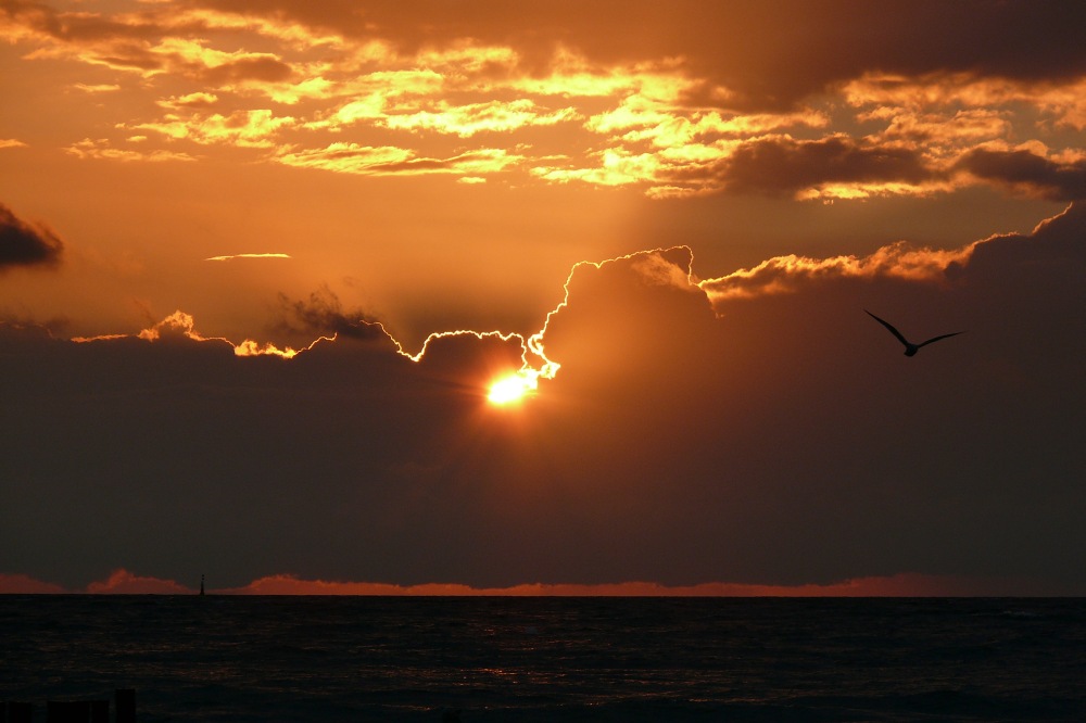 Abends in Warnemünde 2