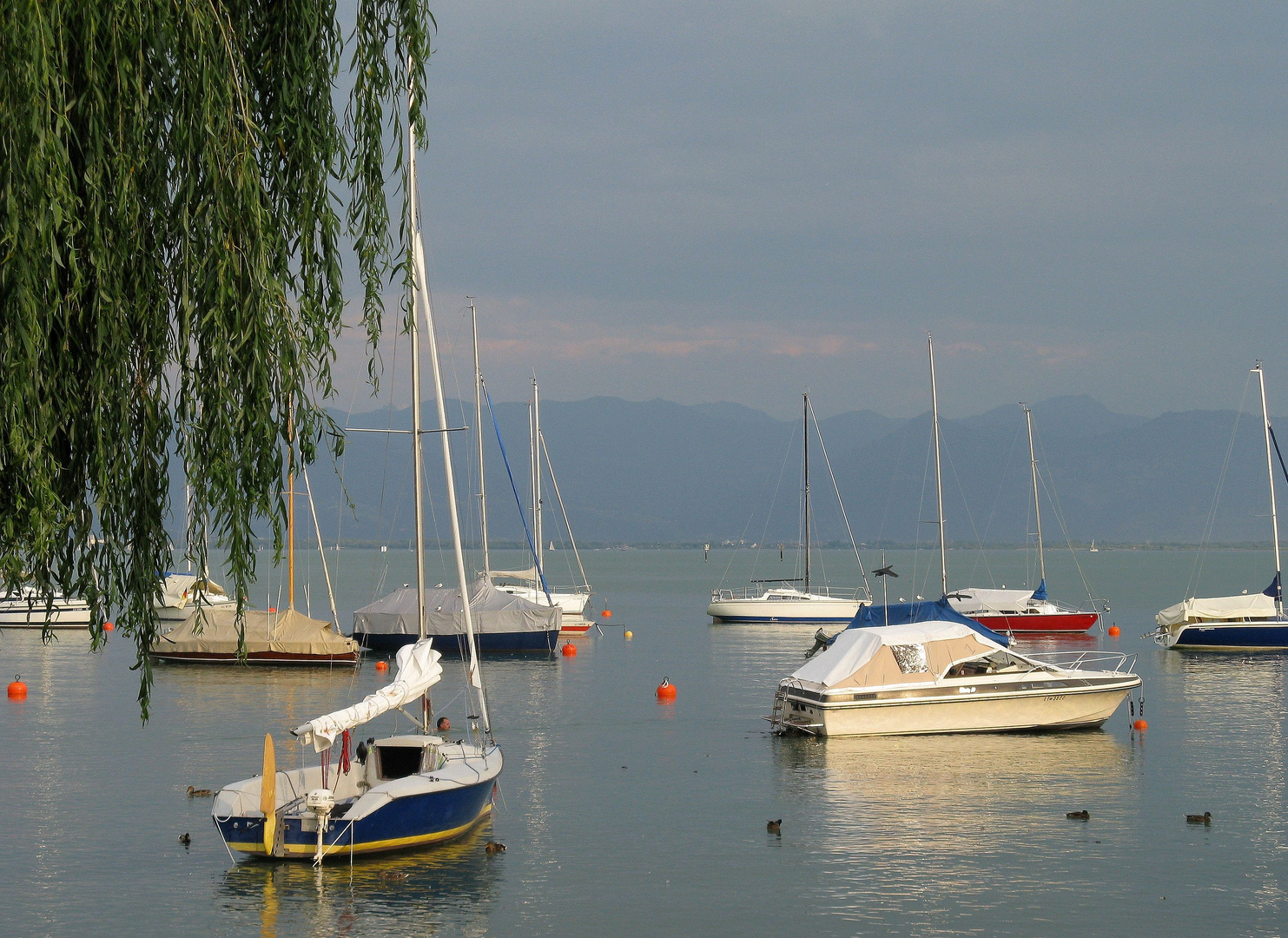 Abends in Wasserburg am Bodensee