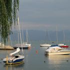 Abends in Wasserburg am Bodensee