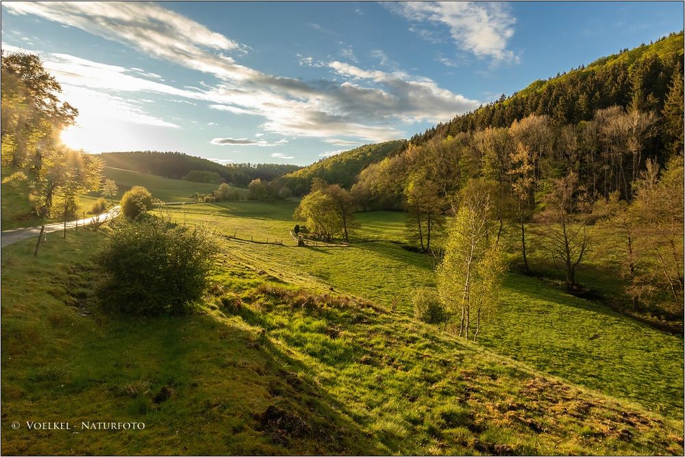 Abends in Wittgenstein