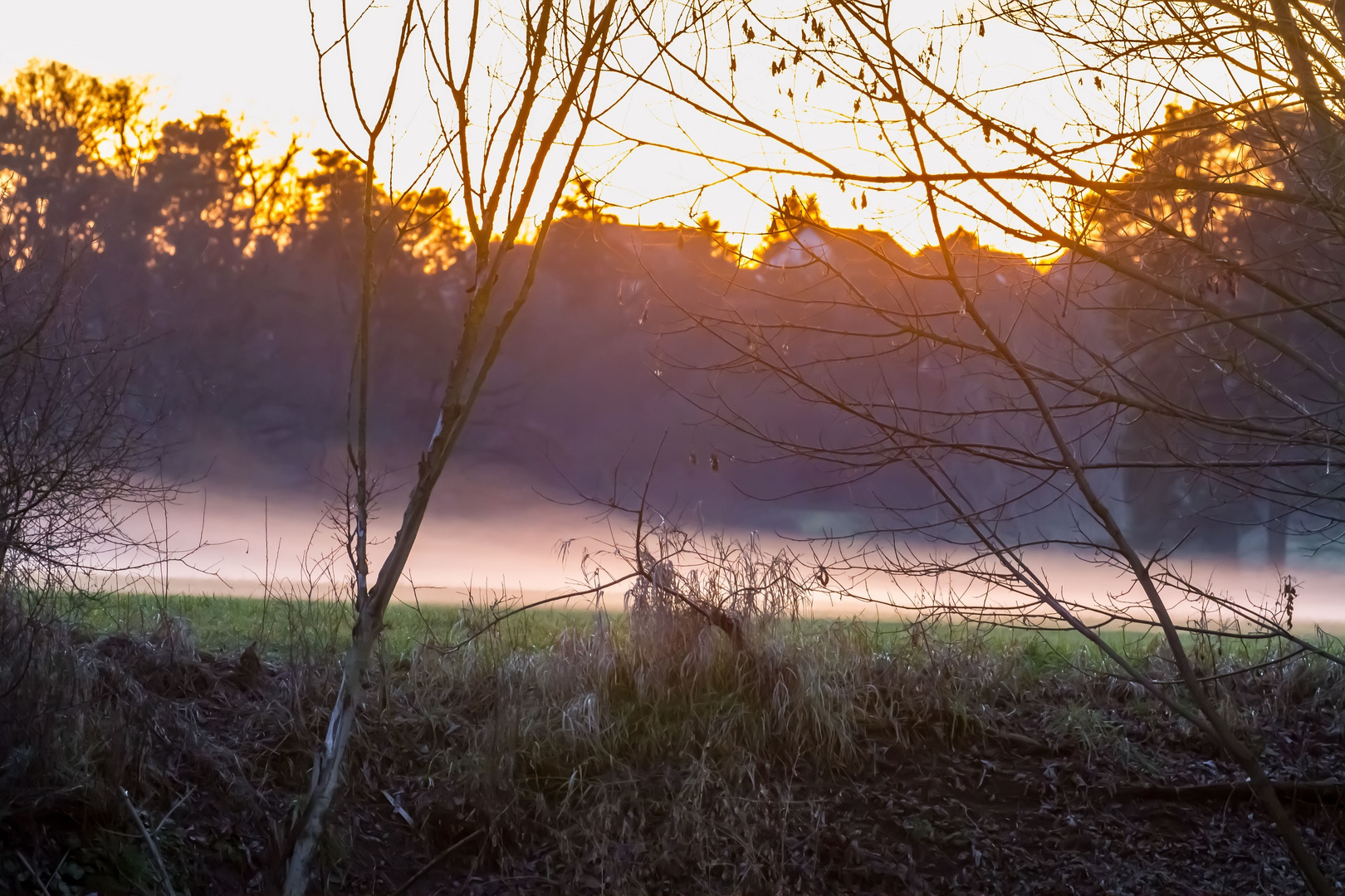 Abends kommt der Nebel