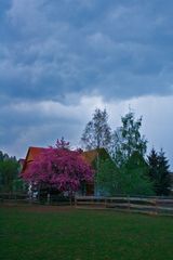 Abends kurz vor dem Regen