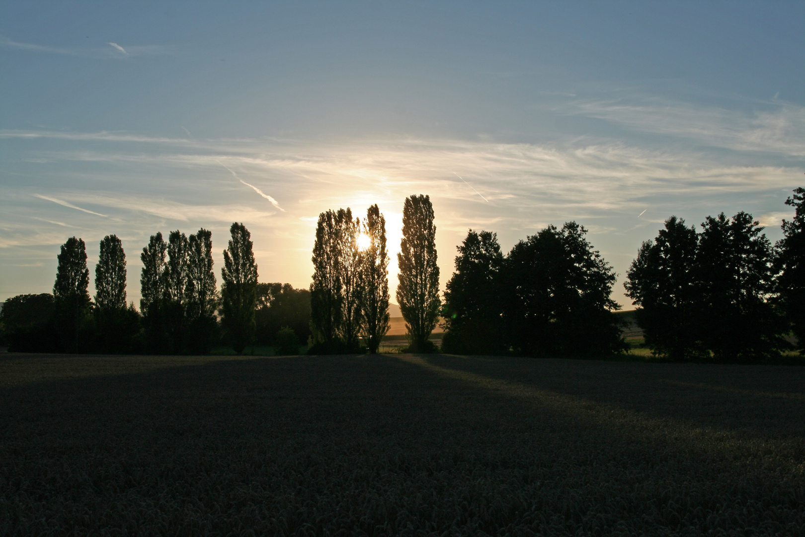 Abends kurz vor der Ernte