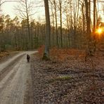 abends mit Wicky-Emily im Wald (por la tarde con Wicky-Emily en el bosque)