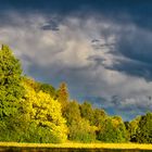 Abends nach dem Gewitter