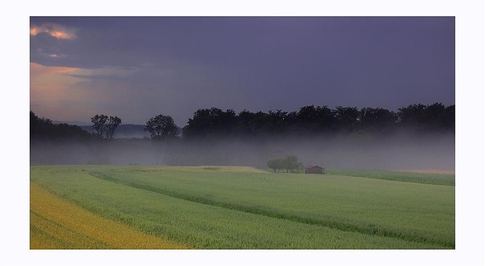 Abends, nach dem Regen 2