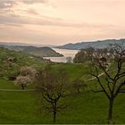 Abends nach dem Regen