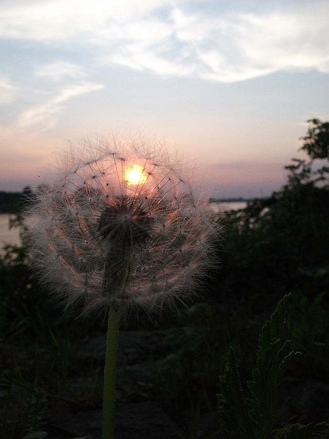 abends spät