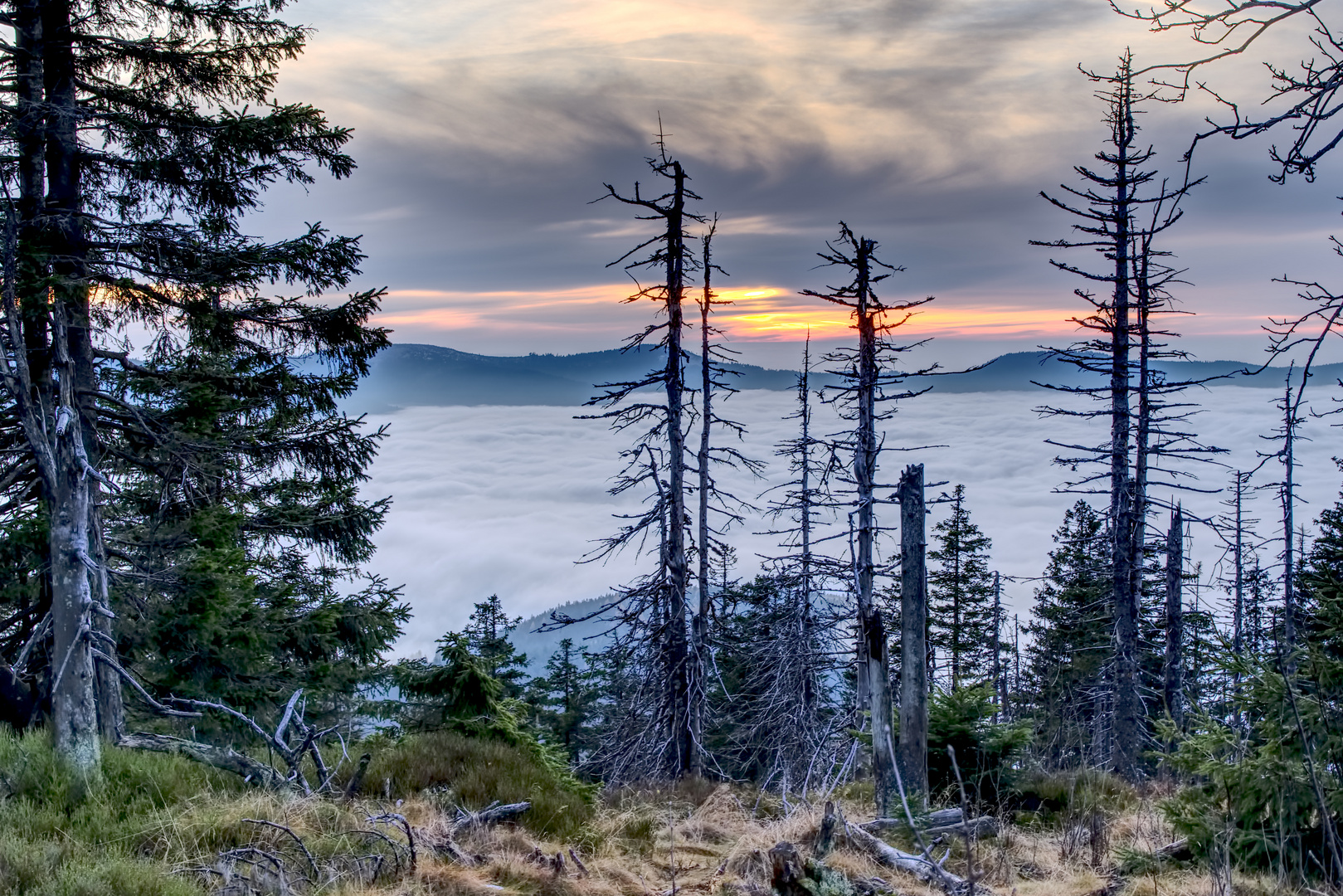 Abends über dem Nebelmeer am Zwercheck (Bayrerischer Wald)