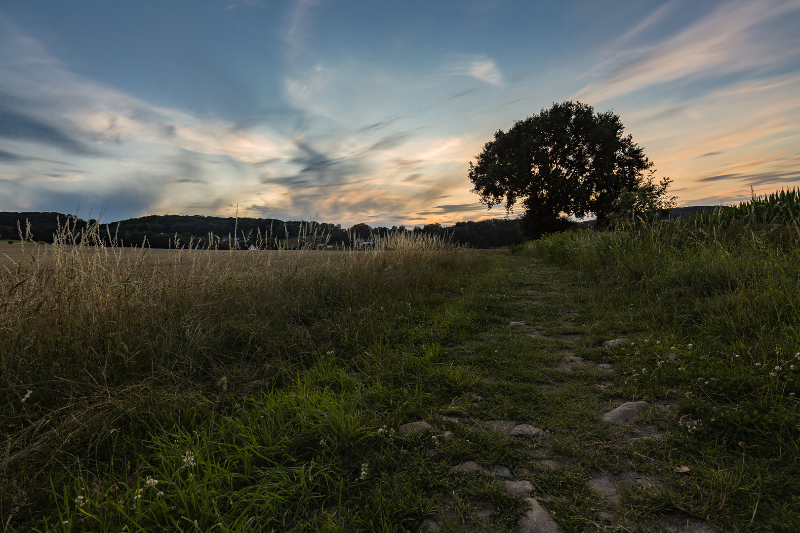 Abends unterwegs